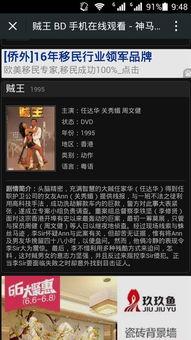 贼王1995在线观看,巅峰对决，盗亦有道  第2张