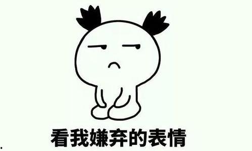 坏片小视频在线观看,坏片小视频在线观看背后的真相与反思  第2张