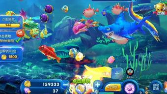 深海捕鱼爆料视频大全,揭秘神秘海洋捕捞全纪录  第2张