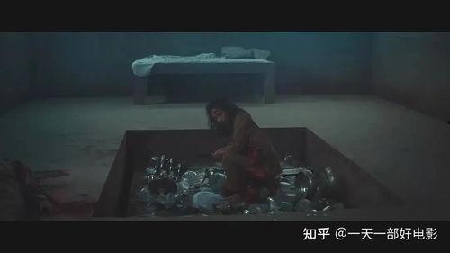 饥饿电影在线观看,在线观看揭示生存与人性极限的惊悚之旅  第2张