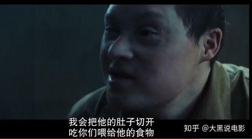 饥饿电影在线观看,在线观看揭示生存与人性极限的惊悚之旅  第3张