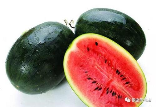 17c吃瓜黑料爆料蘑菇视频,蘑菇视频背后的惊人真相