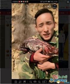 超哥爆料高清视频在线观看,高清视频在线观看,揭秘幕后真相 第3张 超哥爆料高清视频在线观看,高清视频在线观看,揭秘幕后真相 第3张