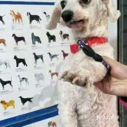 昆明宠物爆料网最新消息,最新宠物动态盘点,带你领略萌宠风采 第1张 昆明宠物爆料网最新消息,最新宠物动态盘点,带你领略萌宠风采 第1张