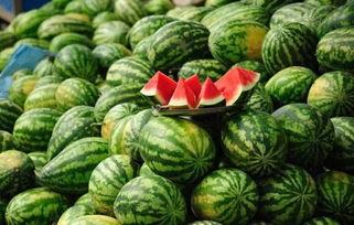 绍兴网红吃瓜事件真相,真相背后的网络风波