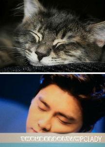 娱乐圈猫猫吃瓜小说,猫猫吃瓜,揭秘明星背后的秘密 第2张 娱乐圈猫猫吃瓜小说,猫猫吃瓜,揭秘明星背后的秘密 第2张