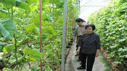 江山网红吃瓜事件是真的吗,真相揭秘还是网络谣言？  第3张