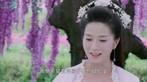 杨紫爆料润玉视频大全最新,独家视频大公开，幕后故事令人动容  第2张