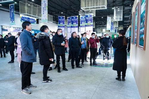 龙尼镇新闻爆料,揭秘当地热点事件，追踪最新爆料动态