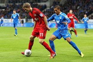 霍芬海姆最新爆料,揭秘球队内部动态与未来规划 第3张 霍芬海姆最新爆料,揭秘球队内部动态与未来规划 第3张