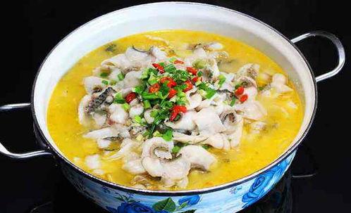 谁爆料的老谭酸菜鱼视频,揭秘网红美食背后的真相 第3张 谁爆料的老谭酸菜鱼视频,揭秘网红美食背后的真相 第3张