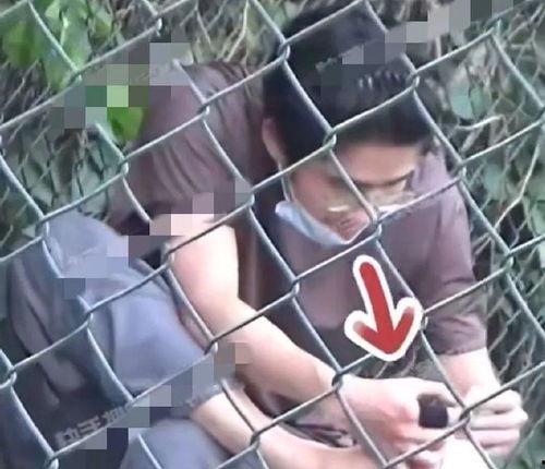 狗仔视频爆料大全,揭秘娱乐圈幕后真相