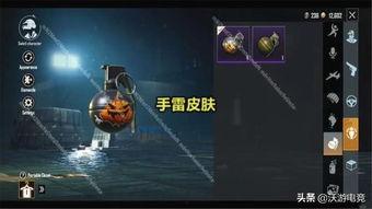 最新爆料手雷皮肤视频,最新手雷皮肤视频曝光，炫酷特效引玩家热议！