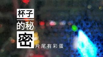 苏州饭店爆料视频最新,揭秘奢华背后的惊人真相 第3张 苏州饭店爆料视频最新,揭秘奢华背后的惊人真相 第3张