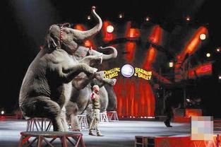 白色马戏团在线观看,揭秘神秘马戏团的奇幻之旅 第3张 白色马戏团在线观看,揭秘神秘马戏团的奇幻之旅 第3张