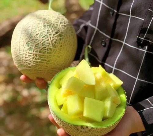 最近娱乐圈有什么瓜可吃,揭秘明星幕后故事与热点事件 第2张 最近娱乐圈有什么瓜可吃,揭秘明星幕后故事与热点事件 第2张