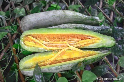 留学圈网红吃瓜,揭秘那些背后的“吃瓜”故事 第3张 留学圈网红吃瓜,揭秘那些背后的“吃瓜”故事 第3张