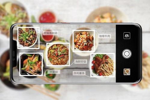 食物黑科技爆料视频播放,食物黑科技视频播放，带你领略味蕾新境界  第2张